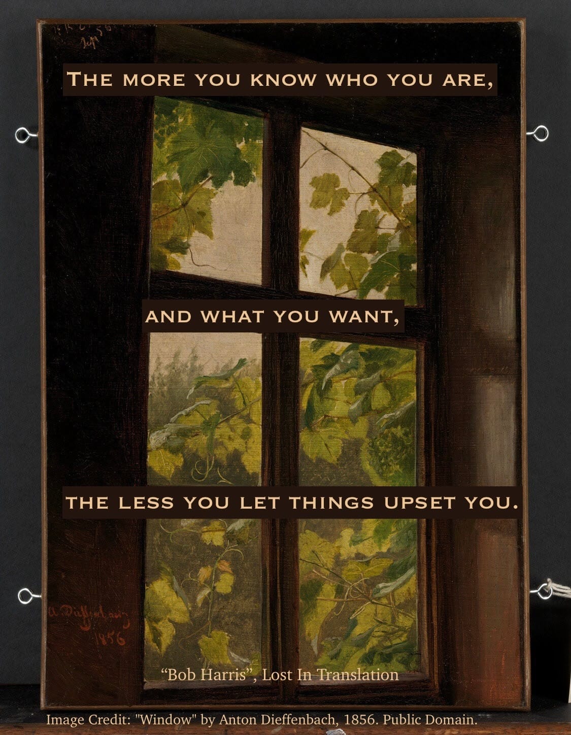 The quotation, "The more you know who are you, and what you want, the less you let things upset you," by the character "Bob Harris" in Sofia Coppola's film "Lost In Translation", overlaid on an illustration of plants growing outside a window by Anton Dieffenbach in 1856.